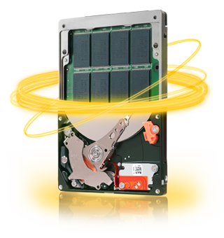 Seagate